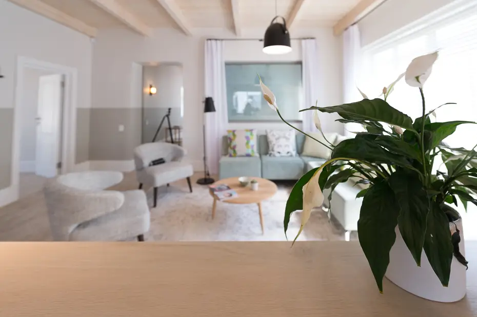 Professional Environment